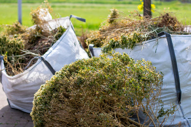 Best Attic Cleanout Services  in Cotulla, TX